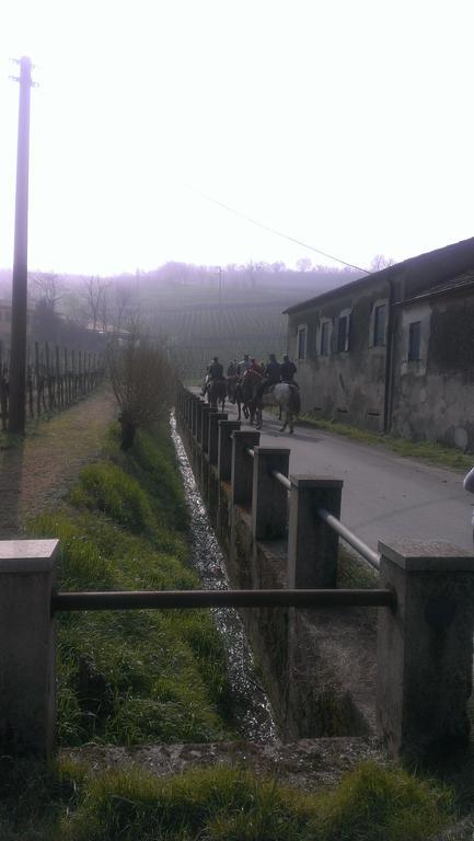 Villa Il Feudo Vo Euganeo Esterno foto